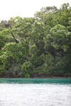 Coastline of Peucang Island [java_0400]