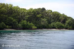 Coastline of Peucang Island [java_0402]