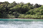 Coastline of Peucang Island [java_0404]