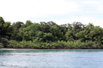 Coastline of Peucang Island [java_0406]