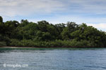 Coastline of Peucang Island [java_0407]