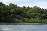 Coastline of Peucang Island [java_0408]