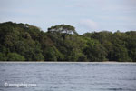 Peucang Island, West Java, Indonesia [java_0414]