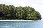 Peucang Island beach [java_0435]