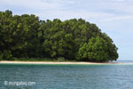 Peucang Island beach [java_0436]