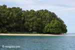 Peucang Island beach [java_0437]