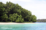 Peucang Island beach [java_0440]