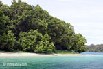 Peucang Island beach [java_0441]