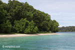 Peucang Island beach [java_0442]