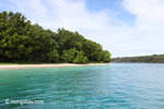 Peucang Island beach [java_0443]