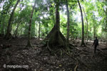 Rangers patrolling Ujung Kulon [java_0550]