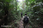 Rhino Protection Unit on patrol in Ujung Kulon NP