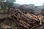 Teak log dump outside an Indonesian sawmill