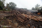 Teak log dump outside a sawmill