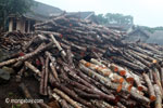 Indonesian sawmill