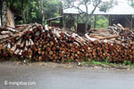 Logs outside an Indonesian sawmill