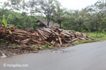 Log dump outside an Indonesian sawmill