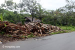 Log dump outside a sawmill