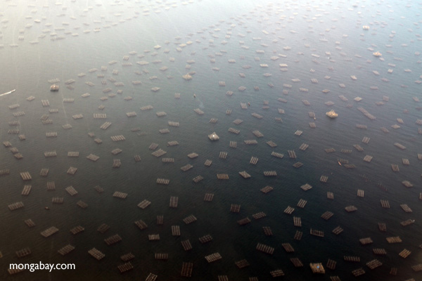 Fish traps in the Jakarta Bay