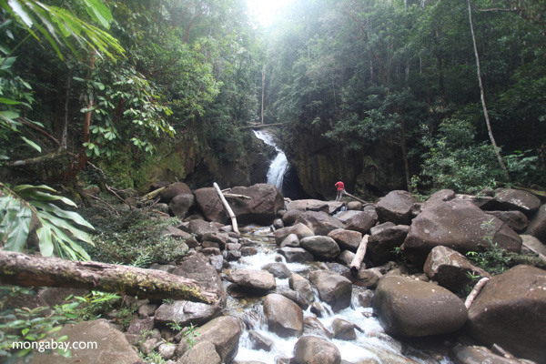 Riam Berasap waterfall in Gunung Palung National Park