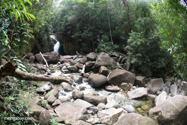 Riam Berasap waterfall in Gunung Palung National Park
