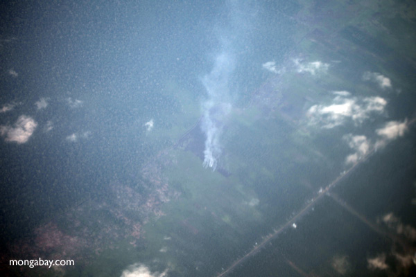 Aerial view of peat fires in Borneo