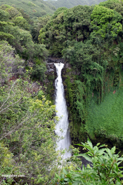 makahiku falls
