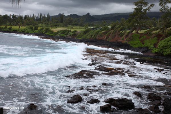 Hana coastline