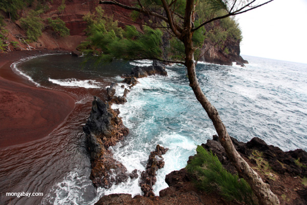 Secret red sand beach near Hana