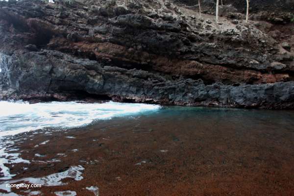 Red sand beach