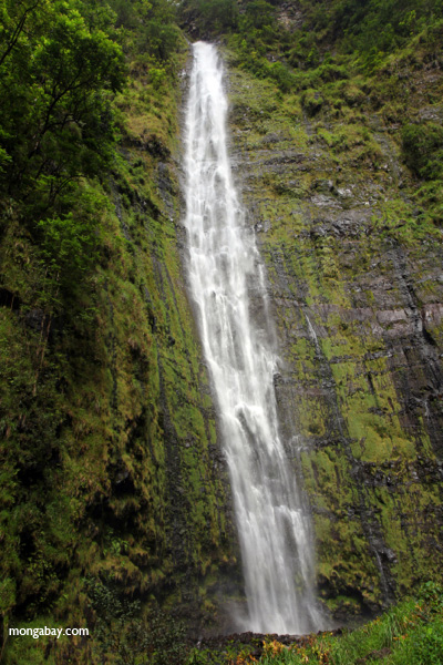 Waimoku Falls