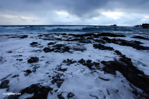 Hana coast