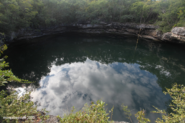 Cenote in Mexico
