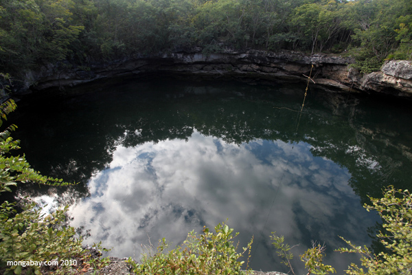 Cenote in Mexico