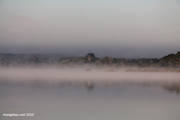 Mist rising from the lagoon at Punta Laguna