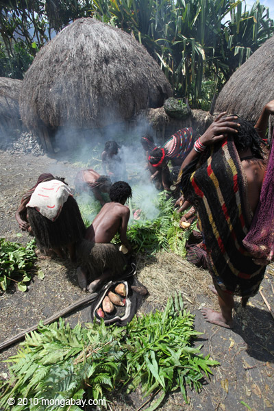 Tribal Dani women cooking sweet potato