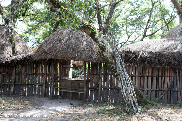 Fence around a Dani village