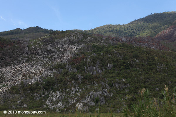 Karst mountains in New Guinea
