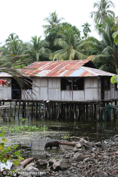 Lake Sentani homes on stilts