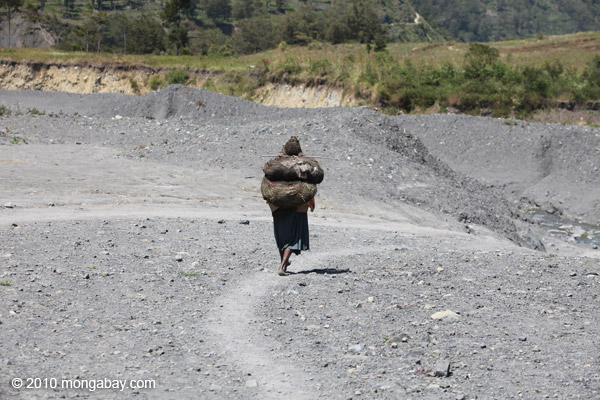 Papua woman carrying a load on her back