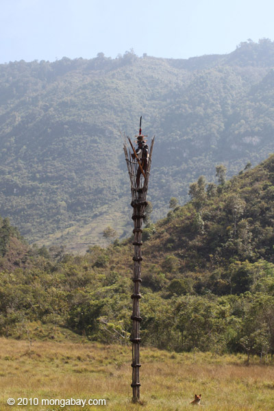 Dani elder in traditional dress atop a watch tower