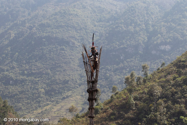 Dani elder in traditional dress atop a watch tower