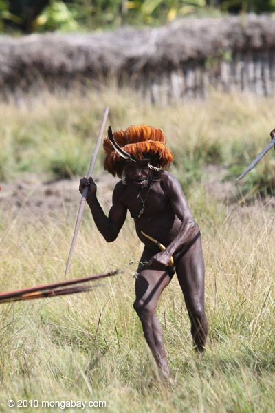 Dani men in ceremonial battle
