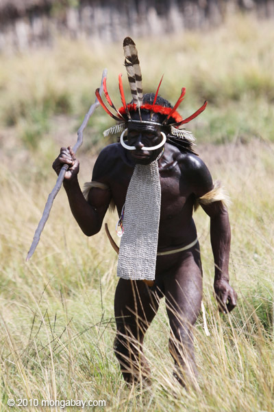 Dani men in ceremonial battle