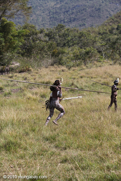 Dani men in ceremonial battle