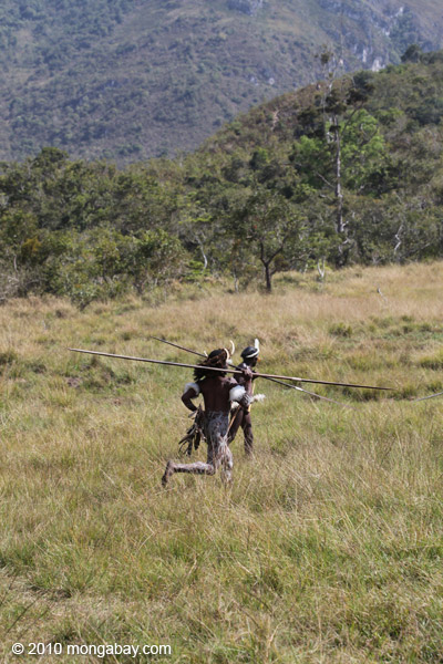 Dani men in ceremonial battle