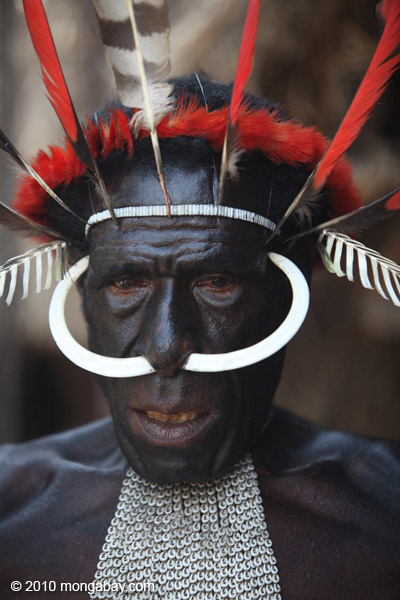 Dani man in New Guinea with hog bone in his nose