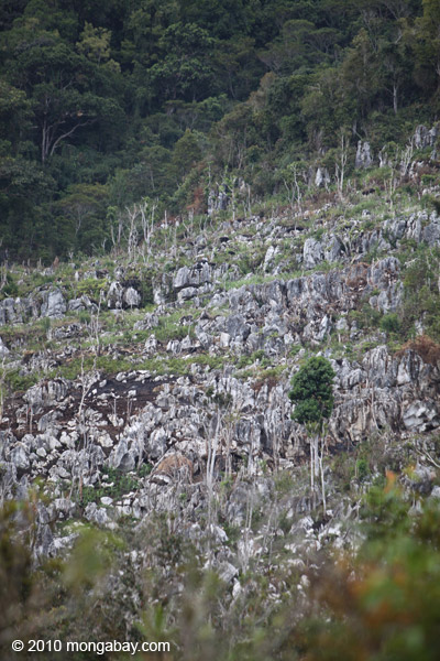 Limestone rock formations in New Guinea
