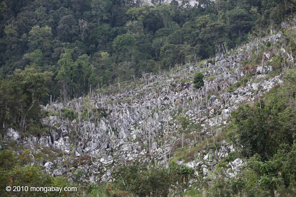 Limestone rock formations in New Guinea
