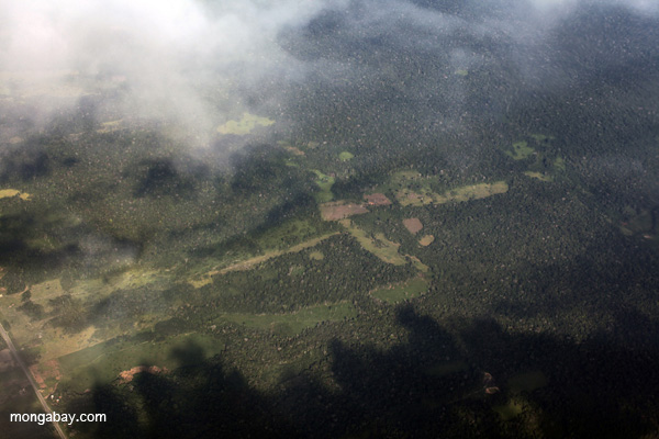 Agricultural clearing in the Amazon rainforest along the Transoceanic highway